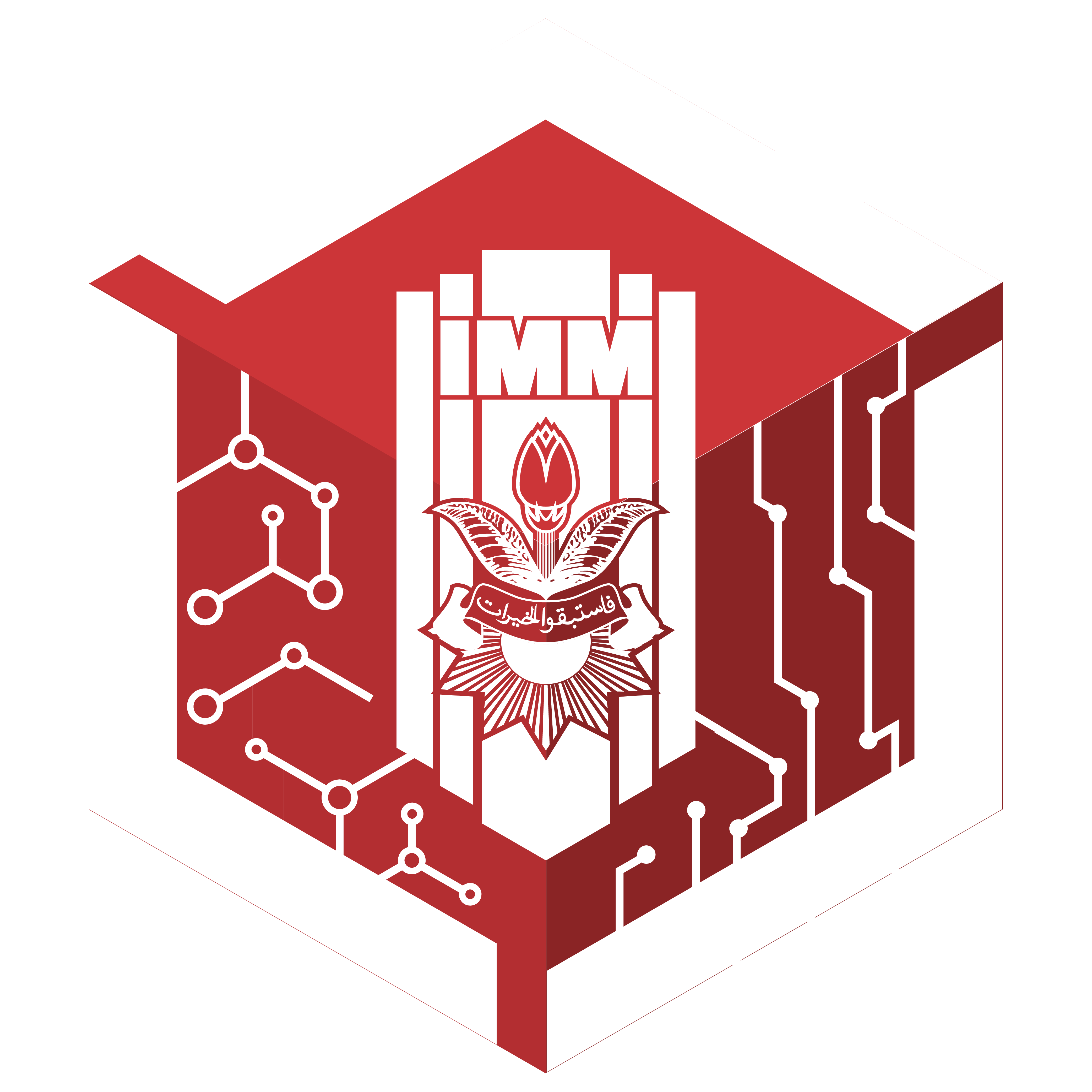 Logo IMM FST